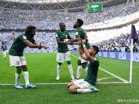 斩断泽法手臂的七武海-开云体育